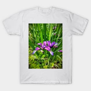 Beautiful lily T-Shirt